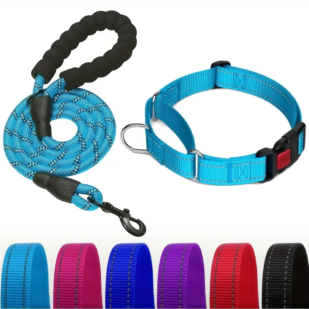 Fuchsia Martingale Dog Collar and Reflective Leash Set